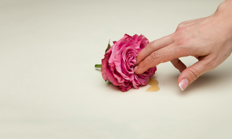 Mão de mulher a mostrar como bater uma siririca com os dedos numa rosa cor-de-rosa.