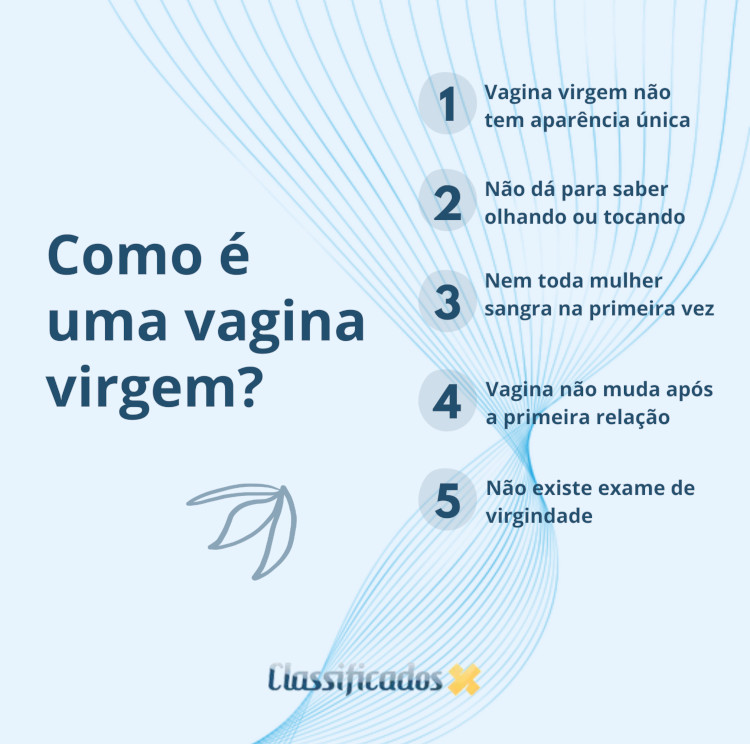 Infográfico com 5 tópicos que explicam que não é possível saber como é uma vagina virgem.