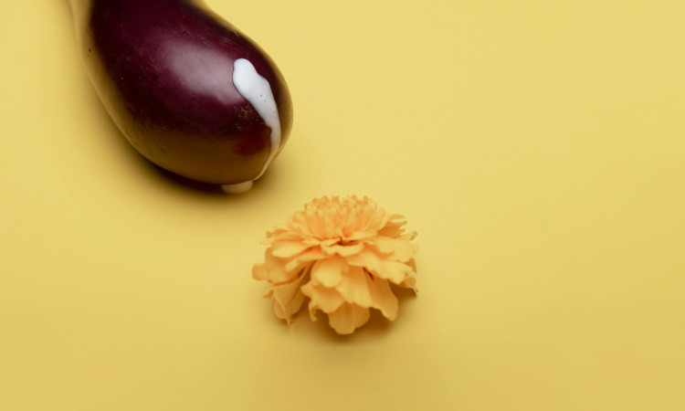 Beringela com líquido branco representando pouco esperma ao lado de uma flor amarela numa imagem com fundo amarelado.