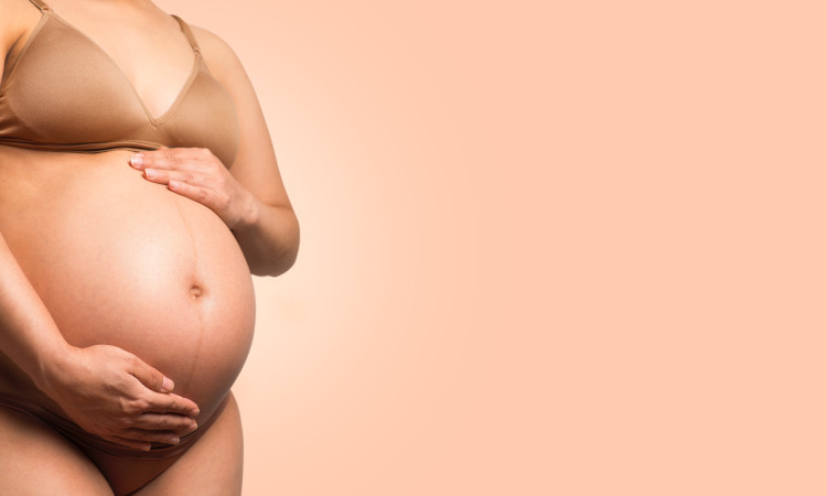 Pregnofilia fetiche por gravidas 2
