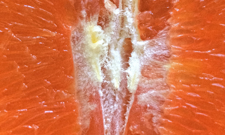 Imagem de laranja aberta para ilustrar um hímen e explicar que não existe vagina de mulher virgem.