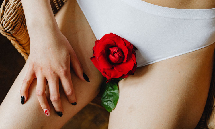 Coxas de mulher em cuecas brancas, com flor vermelha no centro, representando vagina virgem, e uma mão com unhas pintadas em uma das coxas.