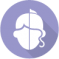 Icon categoria Rondônia