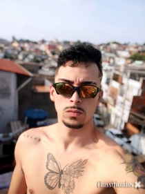 Novinho macho SP